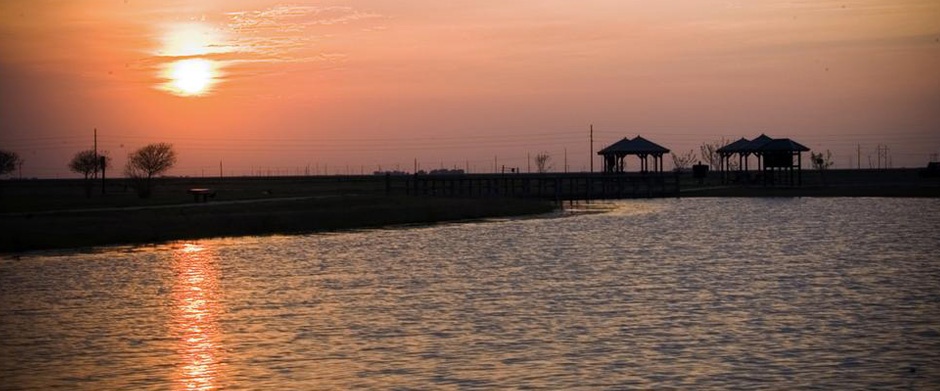 sunset overlooking water and park